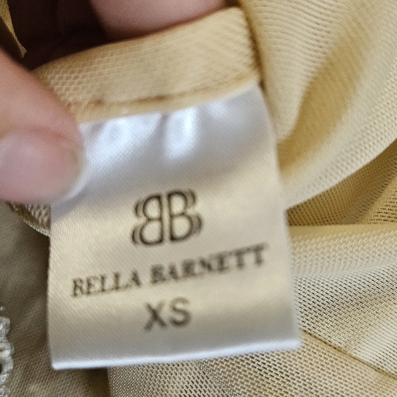 BELLA BARNETT Sequin/beaded Feather Fringe Mini Dress. Silver. Size XS NWT - Picture 3 of 16